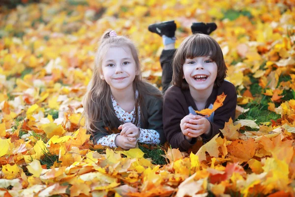 Familia Joven Paseo Por Parque Otoño Día Soleado Felicidad Estar —  Fotos de Stock