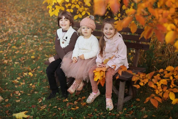 Jonge Familie Een Wandeling Het Herfstpark Zonnige Dag Geluk Samen — Stockfoto