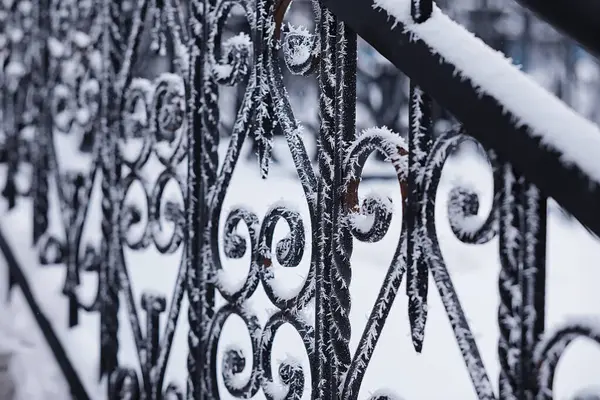 Winterliche Waldlandschaft Hohe Bäume Unter Einer Schneedecke Frosttag Januar Park — Stockfoto