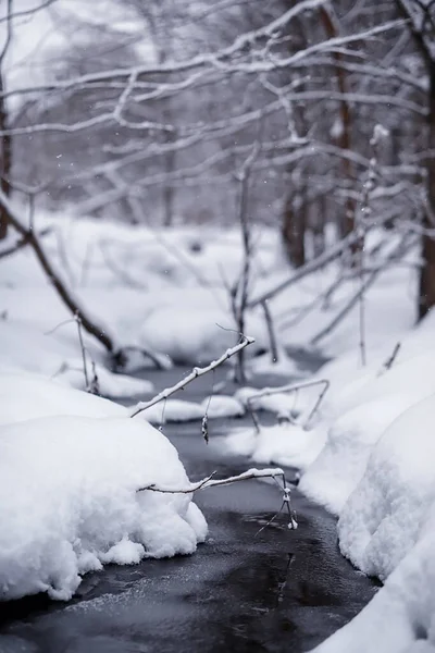 冬の森の風景 雪に覆われた背の高い木 公園で1月の霜の日 — ストック写真