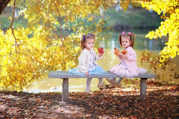 Caída Hojas Parque Niños Dando Paseo Por Parque Otoño Familia —  Fotos de Stock