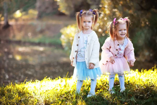 公園の葉が落ちる 秋の公園を散歩する子供たち 家族だ — ストック写真