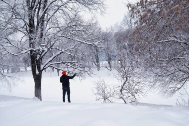 Kış orman manzarası. Kar altında uzun ağaçlar. Ocak ayının soğuk günü parkta.