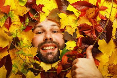 Sanatsal kavramsal sonbahar sakallı adam portresi. Renkli yapraklar. Duygusal bir yüzün etrafında yapraklar. Sonbahar geliyor..