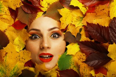 Sanatsal kavramsal sonbahar portresi. Renkli yapraklar. Ağaç yaprakları duygusal yüzün etrafında. Sonbahar geliyor..