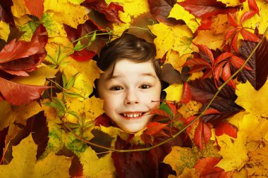 Sanatsal kavramsal sonbahar erkek portresi. Renkli yapraklar. Duygusal bir yüzün etrafında yapraklar. Sonbahar geliyor..