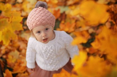 Genç bir aile güneşli bir günde sonbahar parkında yürüyüş yapıyor. Birlikte olmanın mutluluğu..