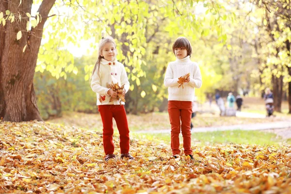 Ung Familj Promenad Höstparken Solig Dag Lycka Att Vara Tillsammans — Stockfoto