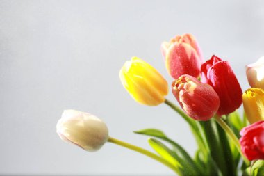 Bir buket taze çiçek. Sevdiğine bayram hediyesi. Sevgililer Günü arkaplanı. Gül, lale, Iris çiçek aranjmanı.