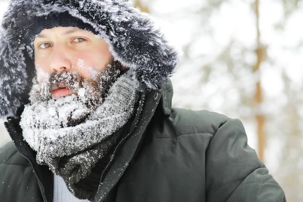 Bearded Man Winter Woods Attractive Happy Young Man Beard Walk — Stock Photo, Image