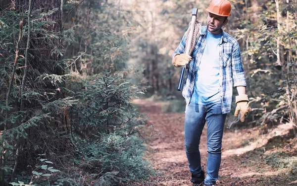 Boscaiolo Maschio Nella Foresta Taglialegna Professionista Ispeziona Gli Alberi Abbattimento — Foto Stock