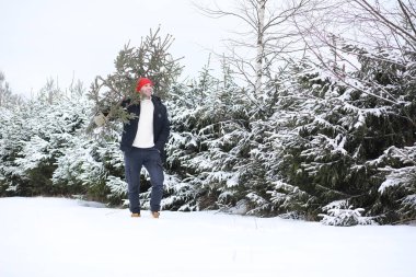 Sokakta kesilmiş bir Noel ağacı olan bir adam. Yeni yıl için hazırlık.