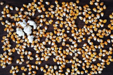 Bir grup sarı çiğ mısır taneleri tatlı mısır. Tahıl tohumları malzeme altın mısır çekirdeği. Ahşap masa olgun patlamış mısır arka planı.