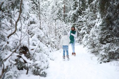 Genç bir aile yürüyüşe çıktı. Anne ve kızı karlı bir parkta yürüyorlar..