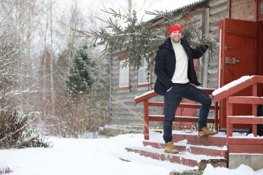 Sokakta kesilmiş bir Noel ağacı olan bir adam. Yeni yıl için hazırlık.