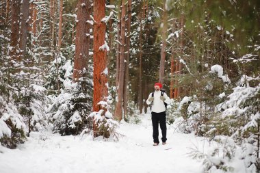 Bir adam sırt çantasıyla seyahat eder. Ormanda kış yürüyüşü. Kışın parkta yürüyüş yapan bir turist..