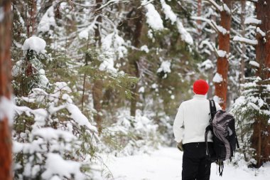 Bir adam sırt çantasıyla seyahat eder. Ormanda kış yürüyüşü. Kışın parkta yürüyüş yapan bir turist..
