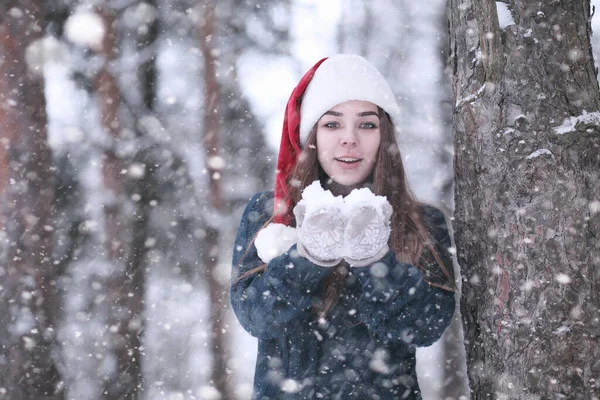 Menina Parque Inverno Tarde Snowfal — Fotografia de Stock