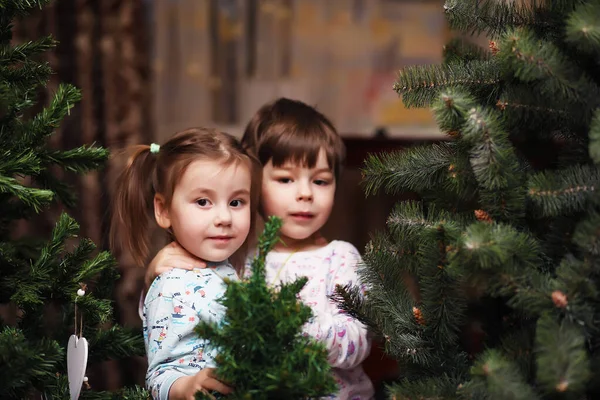 Küçük Çocuklar Yaklaşan Yeni Yıla Noel Seviniyorlar Zevkli Çocuklar Noel — Stok fotoğraf