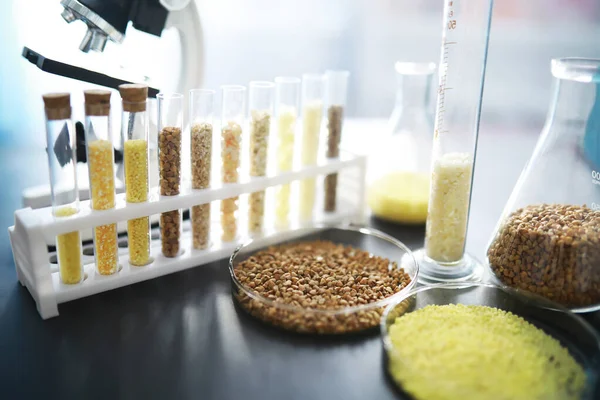 Test tubes with seeds of selection plants. Research Analyzing Agricultural Grains And seeds In The Laborator