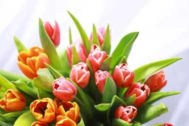 Çiçekler, bahar tatilleri ve ev dekorasyonu konsepti - buket güzel laleler, çiçekli arka plan