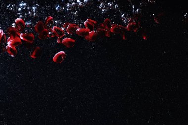 Olgun tatlı nar tohumlarına su damlaları düşer. Metnin için kopyalama alanı olan taze nar arkaplanı. Vejetaryen ve vejetaryen kavramı.