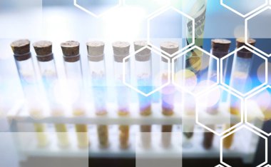 Seçim bitkilerinin tohumlarıyla test tüpleri. Laboratuvardaki Tarım Tahılları ve Tohumları İnceleme Araştırması