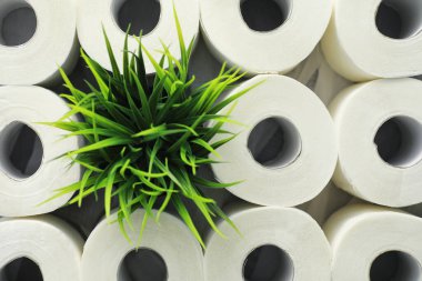 Tuvalet kağıdı rulo halinde. Kar beyazı, yumuşak, üç katmanlı tuvalet kağıdı. Hijyen ürünleri eksikliği. Birincil koruma ve dezenfeksiyon.