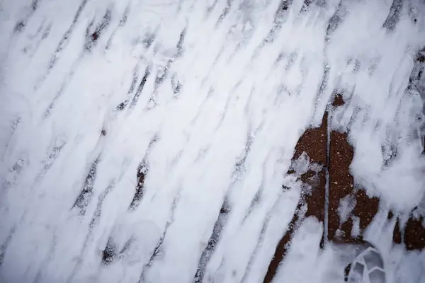 Winterbos Landschap Hoge Bomen Onder Sneeuw Januari Ijzige Dag Park — Stockfoto