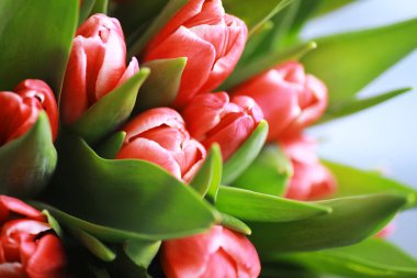 Çiçekler, bahar tatilleri ve ev dekorasyonu konsepti - buket güzel laleler, çiçekli arka plan