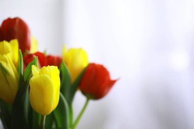 Çiçekler, bahar tatilleri ve ev dekorasyonu konsepti - buket güzel laleler, çiçekli arka plan