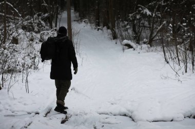 Kış ormanlarında sakallı adam. Çekici, mutlu, sakallı genç bir adam parkta yürüyor..