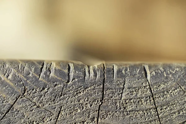 Wood Texture Background Contrasting Texture Boards Wooden Structure Macro Shot — Stock Photo, Image