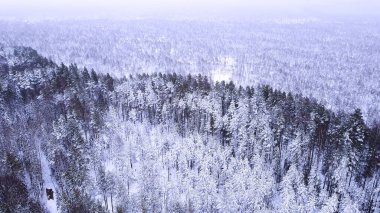 Kışın bir ormanın en üst manzarası, karlı bir ormandaki doğa manzarası,
