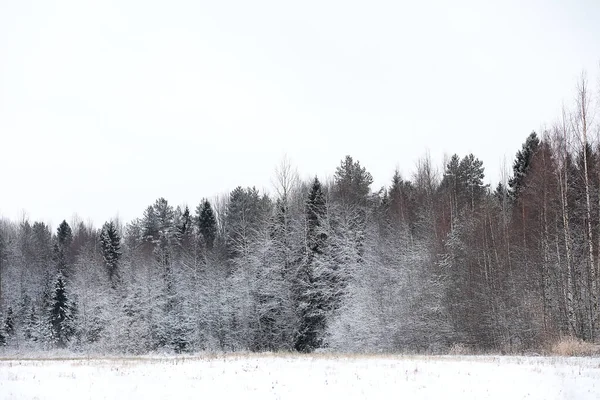 Зимовий Пейзаж Сільських Полів Доріг Снігу — стокове фото