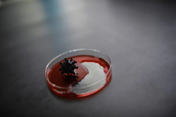 Tubo Prova Con Sangue Paziente Test Analisi Virus Studi Laboratorio — Foto Stock