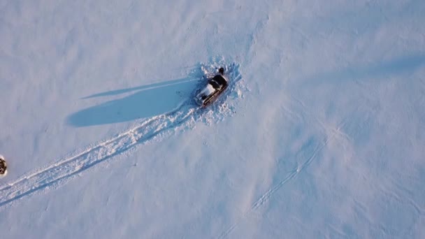 Paisaje de la naturaleza en un bosque nevado, aero foto, vista superior de un bosque en invierno — Vídeo de stock