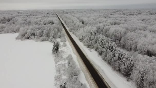 Krajobraz natury w zaśnieżonym lesie, zdjęcie z powietrza, widok z góry lasu zimą — Wideo stockowe