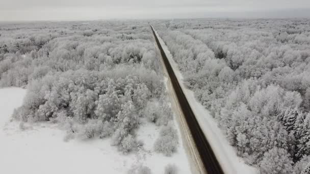 Paisagem da natureza em uma floresta nevada, aero foto, visão superior de uma floresta em inverno — Vídeo de Stock