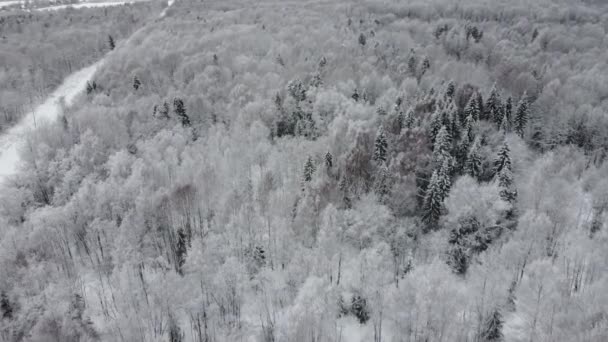 Paisagem da natureza em uma floresta nevada, aero foto, visão superior de uma floresta em inverno — Vídeo de Stock