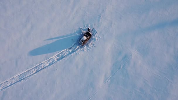 Paisagem da natureza em uma floresta nevada, aero foto, visão superior de uma floresta em inverno — Vídeo de Stock