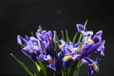 Bir buket taze çiçek. Sevdiğine bayram hediyesi. Sevgililer Günü arkaplanı. Gül, lale, Iris çiçek aranjmanı.