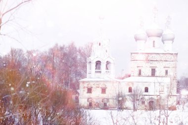 Kış orman manzarası. Kar altında uzun ağaçlar. Ocak ayının soğuk günü parkta.