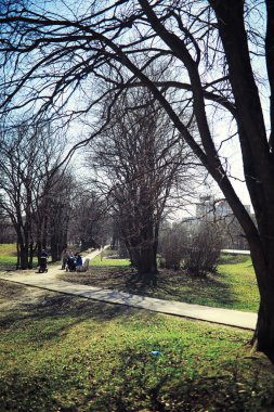 Parlak bahar, şafakta ormanda yeşilleniyor. Doğa ilkbaharın başlarında canlanır..