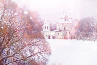 Kış orman manzarası. Kar altında uzun ağaçlar. Ocak ayının soğuk günü parkta.