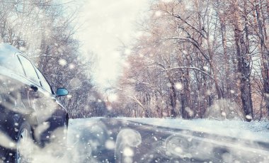 Kış orman manzarası. Kar altında uzun ağaçlar. Ocak ayının soğuk günü parkta.