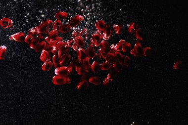 Olgun tatlı nar tohumlarına su damlaları düşer. Metnin için kopyalama alanı olan taze nar arkaplanı. Vejetaryen ve vejetaryen kavramı.