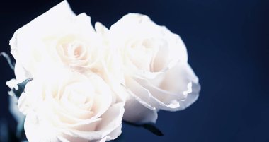 Bir buket taze çiçek. Sevdiğine bayram hediyesi. Sevgililer Günü arkaplanı. Gül, lale, Iris çiçek aranjmanı.