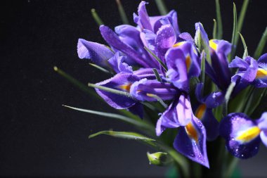 Bir buket taze çiçek. Sevdiğine bayram hediyesi. Sevgililer Günü arkaplanı. Gül, lale, Iris çiçek aranjmanı.