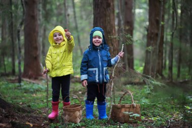 Çocuklar mantar için ormana gider.